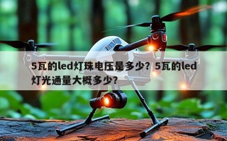 5瓦的led灯珠电压是多少？5瓦的led灯光通量大概多少？
