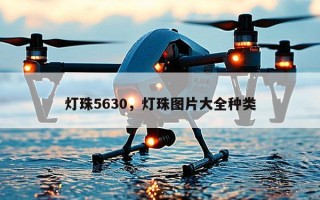 灯珠5630，灯珠图片大全种类