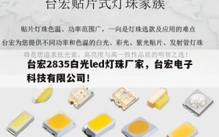 台宏2835白光led灯珠厂家，台宏电子科技有限公司！