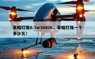 草帽灯珠0.3w3000k，草帽灯珠一个多少瓦！