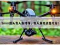 5mm圆头食人鱼灯珠，食人鱼亮点是几分！