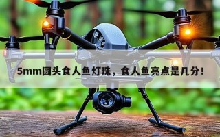 5mm圆头食人鱼灯珠，食人鱼亮点是几分！