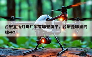 台宏直插灯珠厂家有哪些牌子，台宏是哪里的牌子？