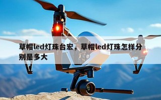 草帽led灯珠台宏，草帽led灯珠怎样分别是多大