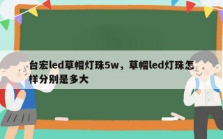 台宏led草帽灯珠5w，草帽led灯珠怎样分别是多大