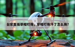 台宏直插草帽灯珠，草帽灯珠坏了怎么换？