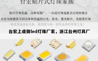 台宏上虞做led灯珠厂家，浙江台州灯具厂