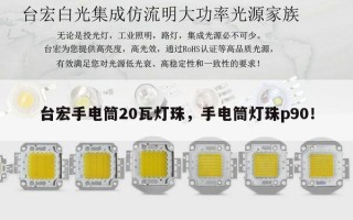 台宏手电筒20瓦灯珠，手电筒灯珠p90！