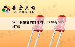5730有紫色的灯珠吗，5730与5050灯珠