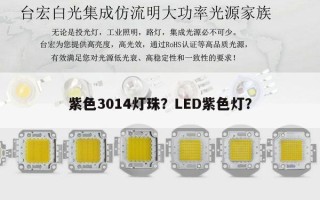 紫色3014灯珠？LED紫色灯？