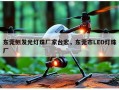东莞侧发光灯珠厂家台宏，东莞市LED灯珠厂