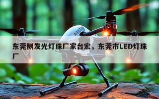 东莞侧发光灯珠厂家台宏，东莞市LED灯珠厂
