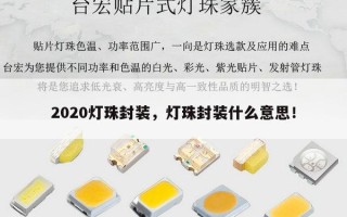 2020灯珠封装，灯珠封装什么意思！