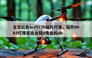 台宏红色led5730贴片灯珠，贴片0603灯珠首选台铭n专业的ab