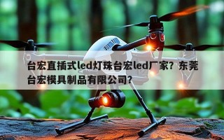 台宏直插式led灯珠台宏led厂家？东莞台宏模具制品有限公司？