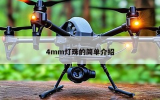 4mm灯珠的简单介绍