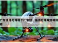 广东插件灯珠哪个厂家好，插件灯珠规格如何看