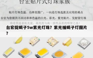 台宏捉蝎子5w紫光灯珠？紫光捕蝎子灯图片？