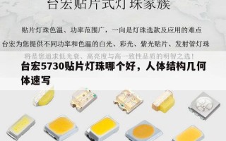 台宏5730贴片灯珠哪个好，人体结构几何体速写