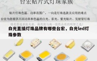白光直插灯珠品牌有哪些台宏，白光led灯珠参数