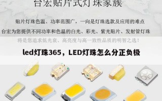 led灯珠365，LED灯珠怎么分正负极