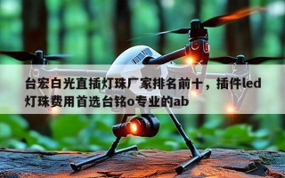 台宏白光直插灯珠厂家排名前十，插件led灯珠费用首选台铭o专业的ab