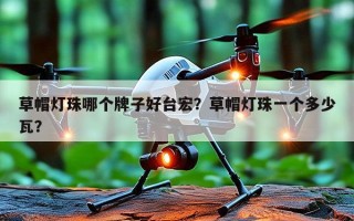 草帽灯珠哪个牌子好台宏？草帽灯珠一个多少瓦？