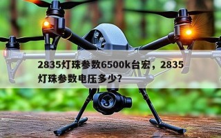 2835灯珠参数6500k台宏，2835灯珠参数电压多少？