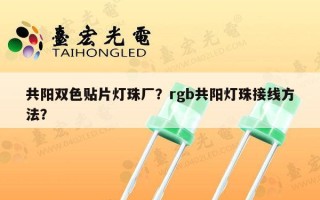 共阳双色贴片灯珠厂？rgb共阳灯珠接线方法？
