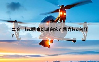 二合一led紫白灯珠台宏？紫光led台灯？