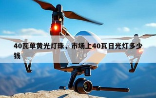 40瓦单黄光灯珠，市场上40瓦日光灯多少钱