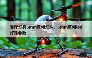 客厅灯具5mm草帽灯珠，5mm草帽led灯珠参数