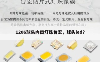 1206球头内凹灯珠台宏，球头led？