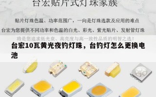 台宏10瓦黄光夜钓灯珠，台钓灯怎么更换电池