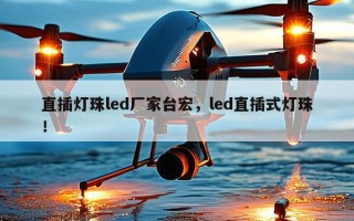 直插灯珠led厂家台宏，led直插式灯珠！