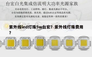 紫外线led灯珠5w台宏？紫外线灯珠费用？