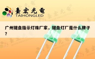 广州键盘指示灯珠厂家，键盘灯厂是什么牌子？