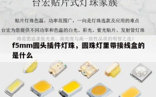 f5mm圆头插件灯珠，圆珠灯里带接线盒的是什么