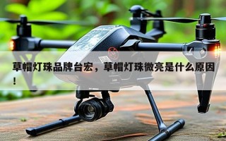 草帽灯珠品牌台宏，草帽灯珠微亮是什么原因！