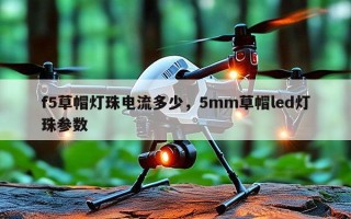 f5草帽灯珠电流多少，5mm草帽led灯珠参数
