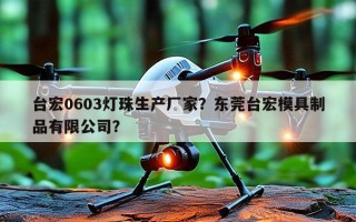 台宏0603灯珠生产厂家？东莞台宏模具制品有限公司？