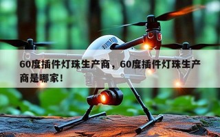 60度插件灯珠生产商，60度插件灯珠生产商是哪家！