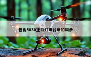 包含5030正白灯珠台宏的词条