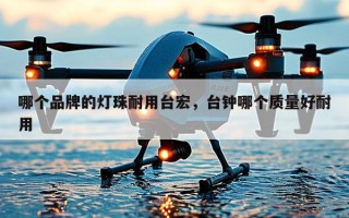哪个品牌的灯珠耐用台宏，台钟哪个质量好耐用