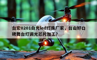 台宏0201白光led灯珠厂家，台山好口碑舞台灯调光芯片加工？