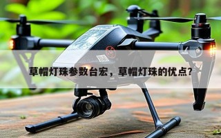 草帽灯珠参数台宏，草帽灯珠的优点？