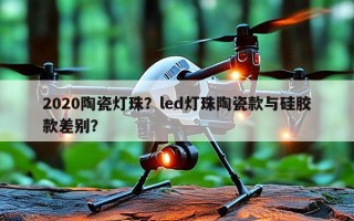 2020陶瓷灯珠？led灯珠陶瓷款与硅胶款差别？