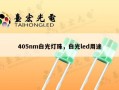 405nm白光灯珠，白光led用途