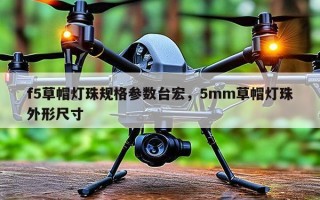 f5草帽灯珠规格参数台宏，5mm草帽灯珠外形尺寸