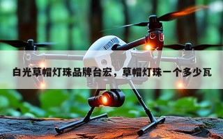 白光草帽灯珠品牌台宏，草帽灯珠一个多少瓦